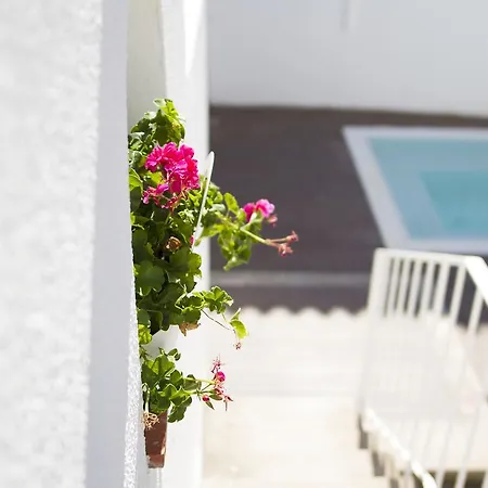 Art 4 Konukevi Cascais